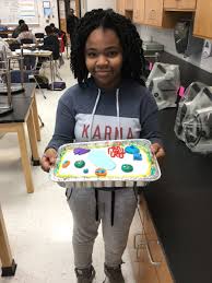We did not find results for: Davis Middle School On Twitter Is That A Golgi Body Or A Lysosome In Ms Geibel S 7th Grade Science Classroom Davismiddle It S Easy To Tell The Difference As Students Make Models Of