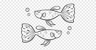 Umumnya ikan cupang yang mutasi itu seperti misalnya ikan cupang koi, ikan cupang fancy, bluerim dan masih banyak lagi. Ikan Pertempuran Siam Guppy Menggambar Buku Mewarnai Ikan Png Pngegg