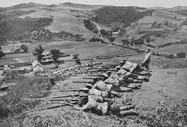 Check spelling or type a new query. Facts On The Russo Japanese War