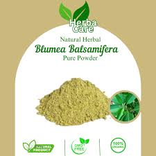 Image result for Blumea