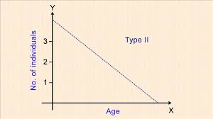 Maybe you would like to learn more about one of these? Types Of Survivorship Curve With Examples Science Struck