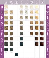 small mastey hair color chart affinity beauty concepts