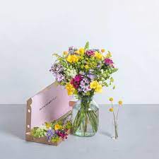 Check spelling or type a new query. Pin By Jane Toft On Cvety In 2020 Letterbox Flowers Bloom And Wild Flowers By Post