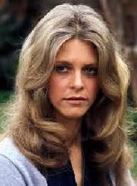 Hallmark actresses Jill Wagner and Lindsay Wagner share a last name, but do  they share a connection beyond their moniker? Read More Below ⬇️