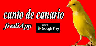El texto conduce al lector para descubrir. Descarga Canto De Canario Apk Para Android Gratis