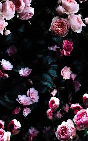 Enjoy free shipping on most stuff, even big stuff. 1001 Ideas For Floral Background To Decorate Your Screen With