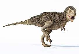 ティラノサウルス(Tyrannosaurus) | 恐竜図鑑