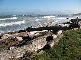 Photo wallpapers state park fort ebey on the desktop, the highest quality pictures from. Coupeville Fort Ebey State Park Pet Friendly Travel