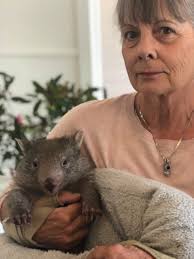 In the joey shack camping out in warm hanging bags. ❤