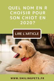 Et la difficulté de trouver un nom de chien a pour conséquence trop de répétitions dans les noms choisis ces années là. Epingle Sur Chien
