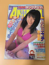 ヤングアニマル 中島礼香 グラビア - 雑誌