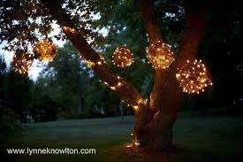 Diy Grapevine Lighting Balls What A Bright Idea Grape Vines Outdoor Christmas Decorations Outdoor Christmas