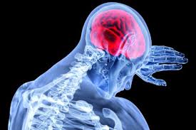 We did not find results for: Encefalitis Japonesa Consejo Mujer