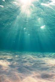 Let S Make The Best Underwater City Here It S The Perfect Place With The Sun Shining And Everything Ocean Beautiful Nature Under The Sea