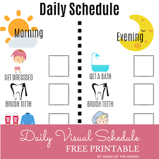 Daily visual schedule for toddlers and preschoolers free printable cards . Visual Daily Schedule Free Printable Mama Of The Drama