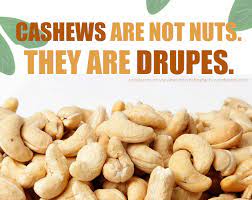 Nuts Nuts Cashew Cashew Nut