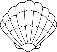 17 Best Ideas About Seashell Drawings On Pinterest Shell Drawing Malvorlagen Ausmalen Muscheln Download shell outline images and photos. 17 best ideas about seashell drawings