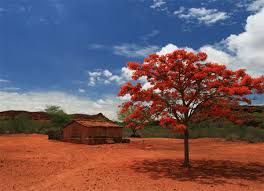 Check spelling or type a new query. Viajei Para Fazer Teatro No Sertao E Fui Recebida Com Carnaval Viagem E Turismo