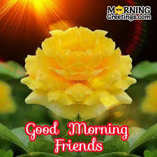 See more ideas about good morning, planting flowers, beautiful flowers. 10 Great Good Morning Wishes For Friend Morning Greetings Morning Quotes And Wishes Images