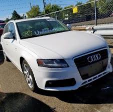 Image result for Ibis White 2009 Audi