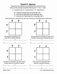 Punnett Square Practice Worksheet Answers Awesome Punnett Square Worksheet Answers In 2020 Punnett Square Activity Science Education Science Biology