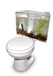 All you need are water, fish and food. Toilet Tank Aquariums Fish N Flush
