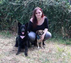 Devenir famille d'accueil pour chien spa. Des Familles Pour Accueillir Les Animaux Abandonnes Topmusic Fr