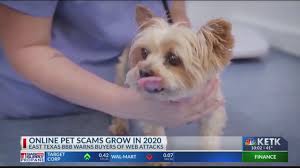 Check spelling or type a new query. Tyler Couple Loses Hundreds Of Dollars To Online Scam Trying To Sell People Fake Pets Ketk Com Fox51 Com