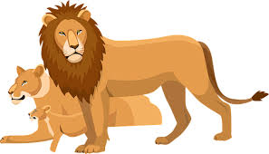 Ultimate List 50 Cute African Animals Digital Elements Lifeinscribed Com Known in africa as one of the big five, the african buffalo is widely considered a very dangerous animal, killing approximately 200 people each year. cute african animals digital elements