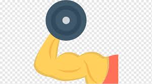 Dos mancuernas ajustables negras, equipo de ejercicio con mancuernas ejercicio físico barra de levantamiento de pesas olímpico, equipo con mancuernas png clipart. Pesas De Gimnasia Entrenamiento Con Pesas Iconos De Computadora Gimnasio Mancuerna Angulo Aptitud Fisica Dibujos Animados Png Pngwing