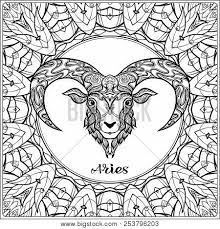 Zodiac chart mandala coloring page for adults . Aries Sheep Vector Photo Free Trial Bigstock