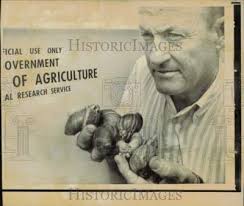 1971 Press Photo George Gwin holds African mollusks caught in Florida