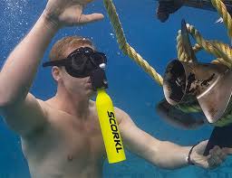 Scorkl Gives You The Scuba Experience Without All The Gear Scuba Tank Snorkeling Gear Underwater