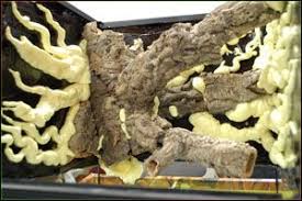 New England Herpetoculture Llc Custom Vivarium Terrarium Background Diy Guide Reptile Terrarium Vivarium Snake Terrarium