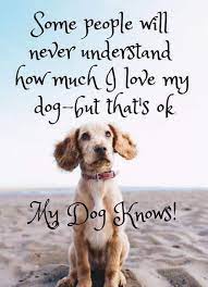 No pet store puppies day. Top 20 International Dog Day Quotes Dog Wallpapers Dog Quotes In 2021 International Dog Day Dog Quotes Dog Quotes Funny