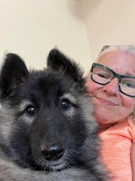 For those people who choose to ASSUME anything, I do have a couple of older  puppies available. What I don't post is that I have turned down 6-8 homes  over the past