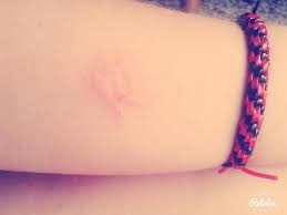 Maria Laezza (@marialaezza72)