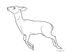 We have the best collection of coloring pages for kids and adults! Free Printable Deer Coloring Pages For Kids Cool2bkids