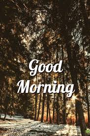 Fresh Inspirational Good Morning Quotes For The Day Get On The Right Track Part 9 Good Morning Winter Good Morning Quotes Good Morning Winter Images Good morning nature breakfast coffee afternoon morning sun sun evening wake up. fresh inspirational good morning quotes