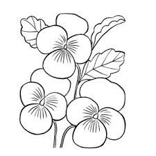 Bestel je favoriete keukenspullen, cadeau. Viooltje Tekening Google Zoeken Bloem Kleurplaten Gratis Kleurplaten Bloemen Tekenen