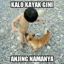 Selain untuk dilihat sendiri, gambar/foto lucu juga bisa kamu bagikan dengan mudah. Gambar Paling Lucu