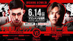 BreakingDown20（ブレイキングダウン20）の全試合の結果速報 ...