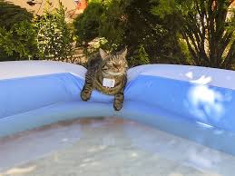 Der bachlauf mit fließendem wasser erstreckt sich meist über einen bestimmten bereich des gartens und läuft. Die Schonsten Gestaltungsideen Fur Den Eigenen Pool