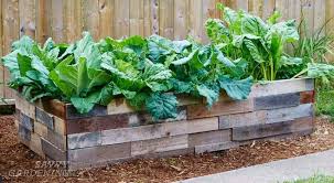 Check spelling or type a new query. 6 Things To Think About Before Preparing A Raised Bed Garden