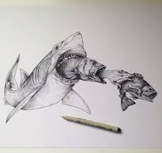 Pin By Elizabeth Cada On Alfred Basha Illustraties Alfred Basha Pencil Drawings Of Animals Art