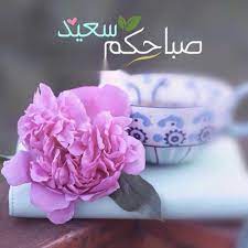 صباح سعيد beautiful morning messages good morning images flowers good morning arabic