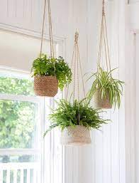 Woven Hanging Plant Pot Hanging Plants Hanging Flower Pots Hanging Plants Indoor