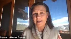 Dear 2020: Re-Meeting the Self, A thoughtshop exploring losses and  blessings of the pandemic