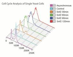 Flow Cytometry Md Anderson Cancer Center