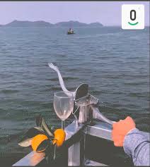 Exprimidor Manual de Frutas (VERSION GRANDE) – Tienda Lisol